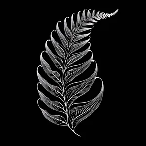 Abstract line art of a fern representing growth and development